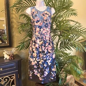 White House Black Market, Blue and Pink Floral Sheath Dress, Size 6